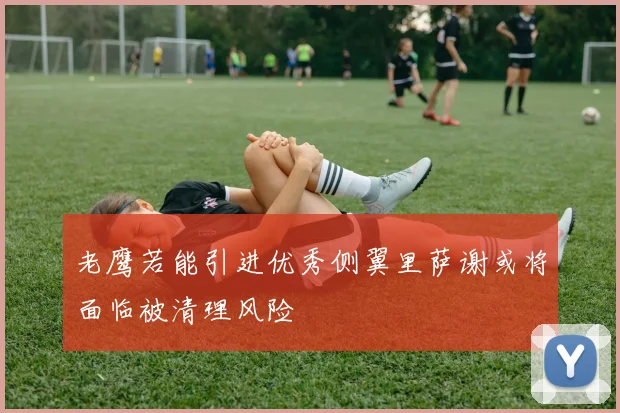 老鹰若能引进优秀侧翼里萨谢或将面临被清理风险