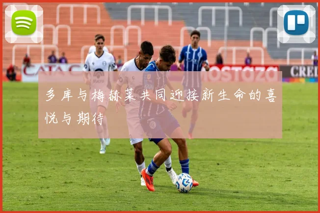 多库与梅赫莱共同迎接新生命的喜悦与期待