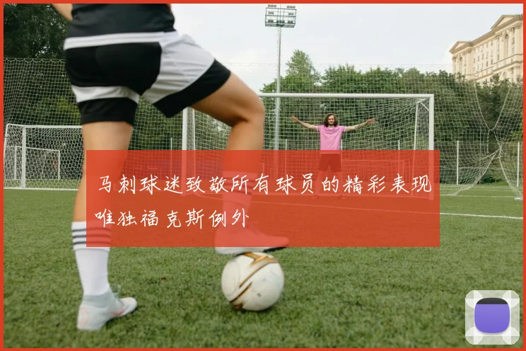 马刺球迷致敬所有球员的精彩表现唯独福克斯例外